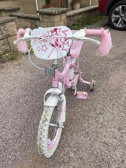 Photo of free Childs princess bike 14” (GL3, Brockworth) #2