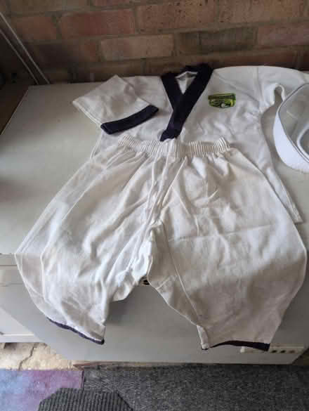 Photo of free Lil dragon outfit (Woodley RG5) #1