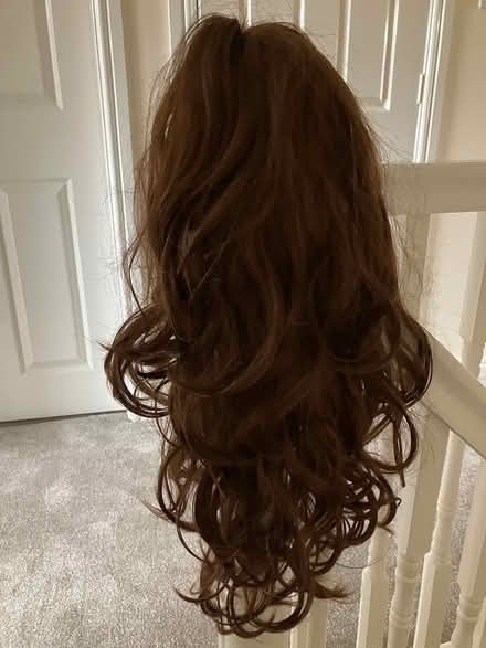 Photo of free Fancy dress wig (Worcester WR4) #2