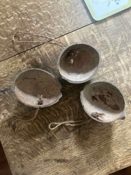 Photo of free Coconut shell bird feeders (RG1) #1