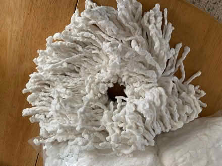 Photo of free Replacement mop head (Mount Pleasant SY1) #1