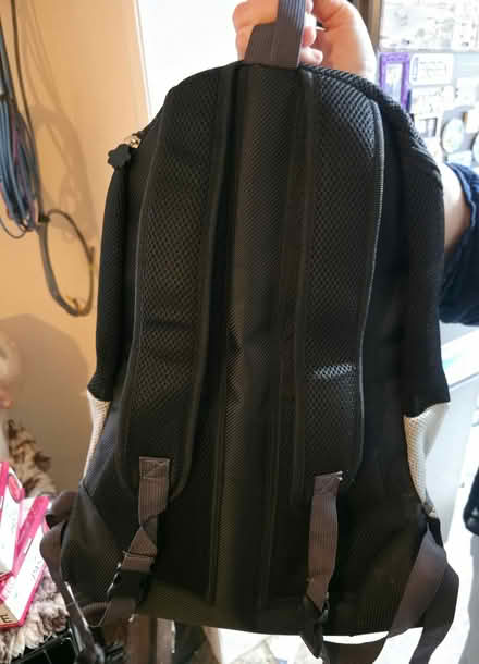 Photo of free Back pack dog carrier (BN10) #2