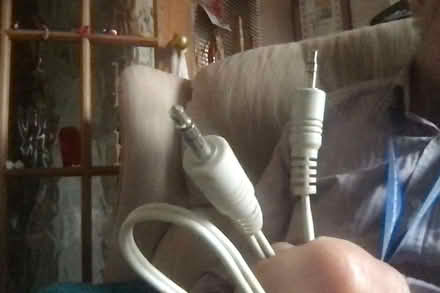 Photo of free Lead (Headington OX3) #1