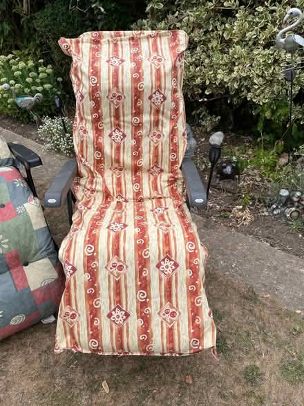 Photo of free Garden chairs (Enfield EN1) #1