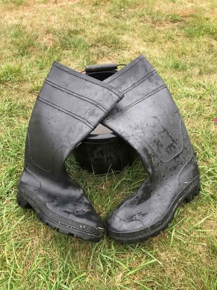 Photo of free Pair of black size 8 wellies (Abingdon OX14) #1