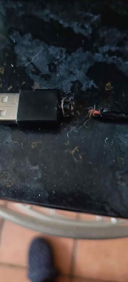 Photo of free Indoor Bird fountain needs repair (Woodside TF7) #2