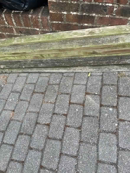 Photo of free wood for a log burner (Hove) #3