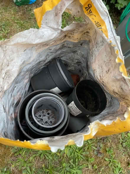 Photo of free Assorted plant pots (West Dean) #3