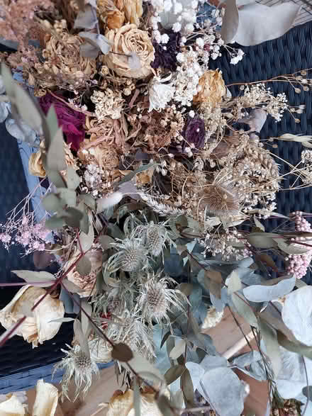 Photo of free Dried flowers (Wildridings RG12) #2
