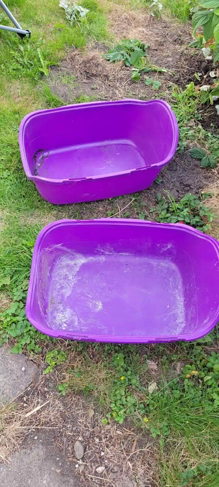 Photo of free 2 large cat litter trays (Marsh LA1) #1