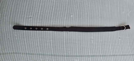 Photo of free dog collar (Seaford BN25) #1
