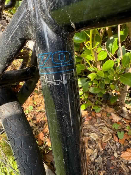 Photo of free Carrera Bike (dublin, sandymount) #3