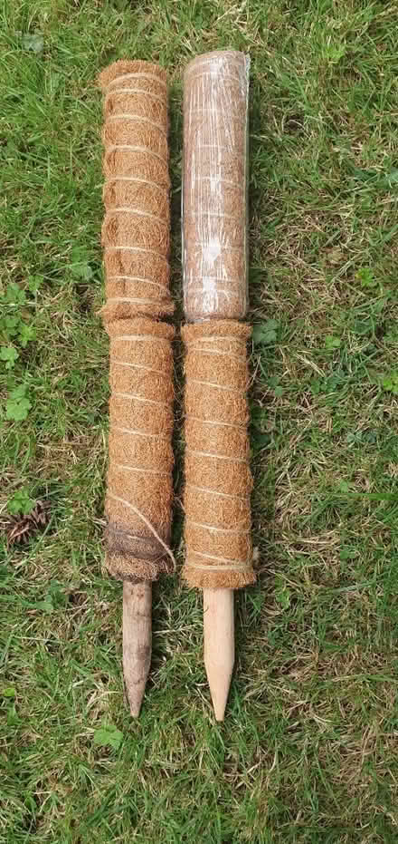 Photo of free Plant supports (Warden Hill) #1