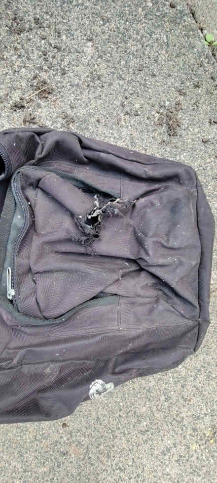 Photo of free Canvas bike panniers (Marsh LA1) #1