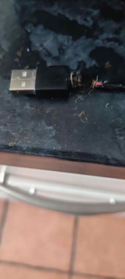 Photo of free Bird fountain indoors (Woodside TF7) #2