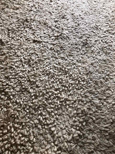 Photo of free Huge textured rug (Walkley, S6) #2