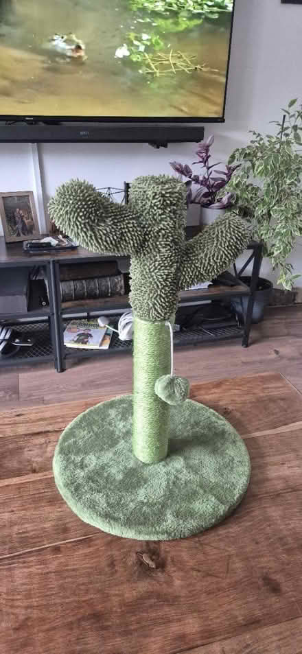 Photo of free Unused cat scratcher post (YO15, south side) #1