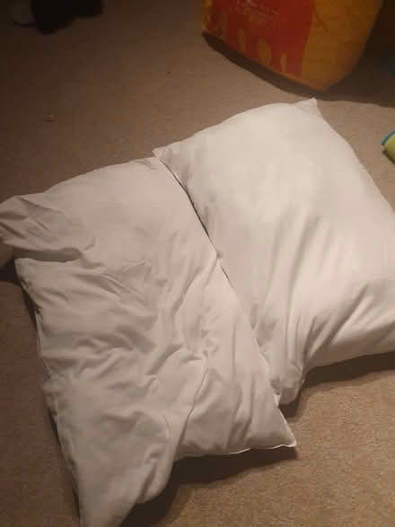 Photo of free 2 pillows suitable for toy stuffing (Odd Down) #2