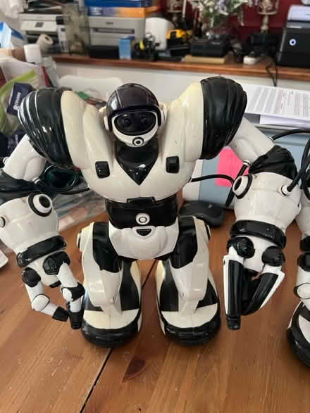 Photo of free 2 x Robosapiens (Whitton TW3) #3