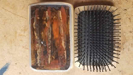 Photo of free Hair Brushes (Abbots Bromley WS15) #1