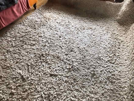 Photo of free Huge textured rug (Walkley, S6) #3