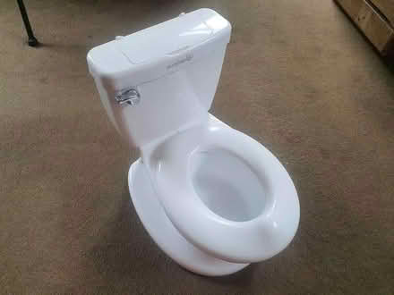 Photo of free Summer child's potty (Elmers End BR3) #1