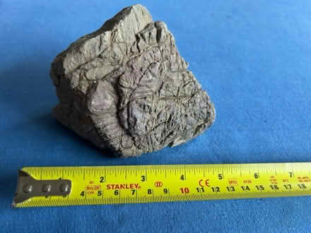 Photo of free Heavy stones for fish tank/vivarium (Chorleywood WD3) #4