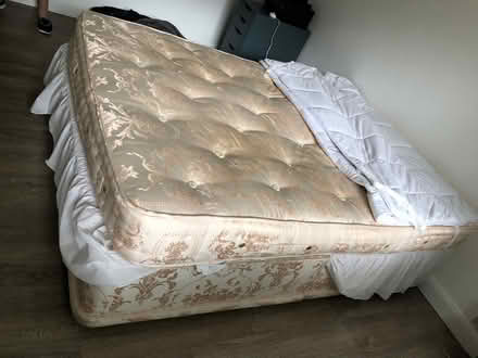 Photo of free kingsize bed (Sandal WF2) #1