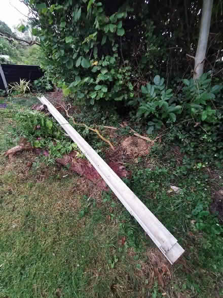 Photo of free White PVC guttering (CO13) #2