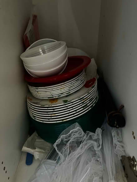 Photo of free Bag with plate, bowls and bbq buts (Kenley CR8) #1