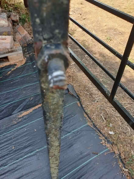 Photo of free Old Metal Gate (Huntley GL19) #1