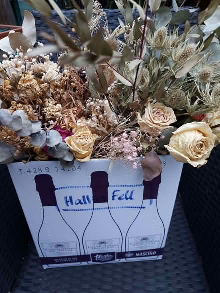 Photo of free Dried flowers (Wildridings RG12) #1