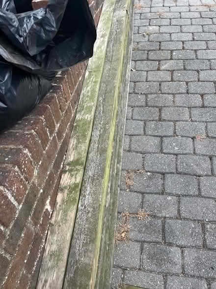 Photo of free wood for a log burner (Hove) #1