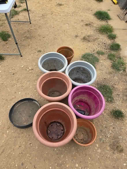 Photo of free Plant pots (Shinfield RG2) #1