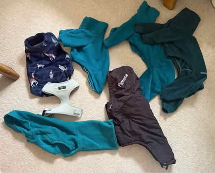 Photo of free Puppy clothes (Cirencester) #1