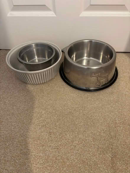 Photo of free Dog Bowls (Winwick WA2) #1