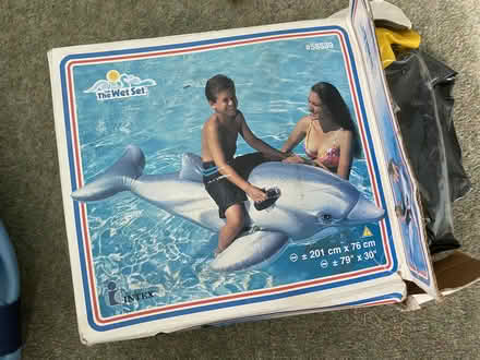 Photo of free Pool inflatables (for playing) (NW10) #4