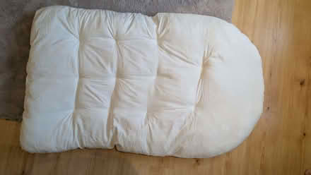 Photo of free long pillow (Abingdon-on-Thames OX14) #1