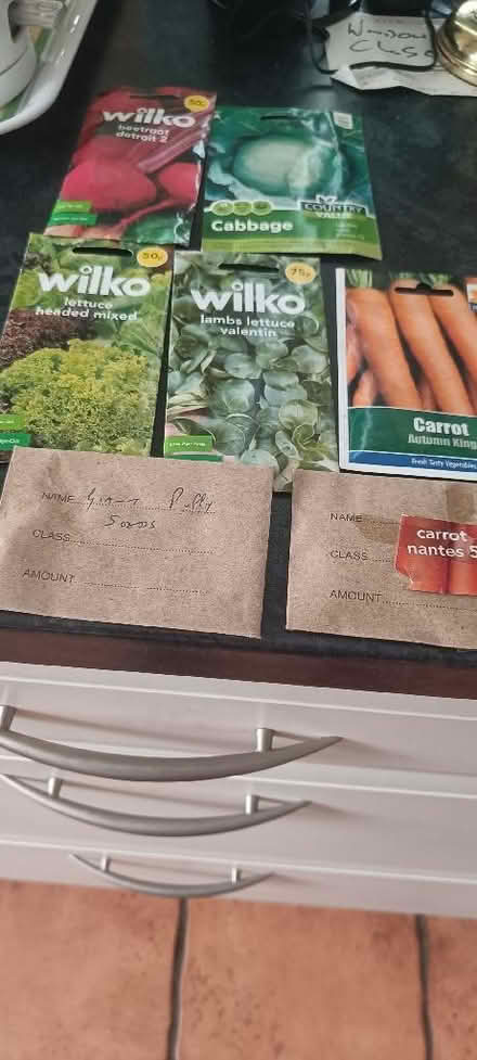 Photo of free Seeds (Woodside TF7) #1
