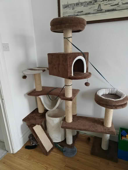 Photo of free Large cat tree - used (Wimbledon SW19) #1