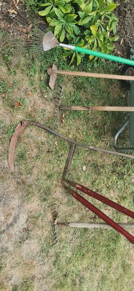 Photo of free Selection of old garden tools (Weston) #1