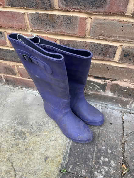 Photo of free Ladies size 5 wellington boots unworn (Frimley Green GU16) #1