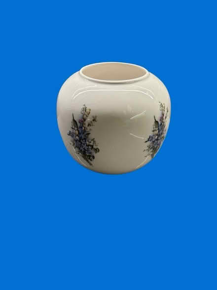 Photo of free Forget me not vase / urn (Hallatrow) #2