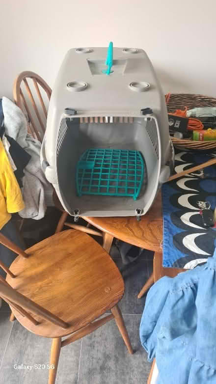 Photo of Cat Basket (CT12) #1