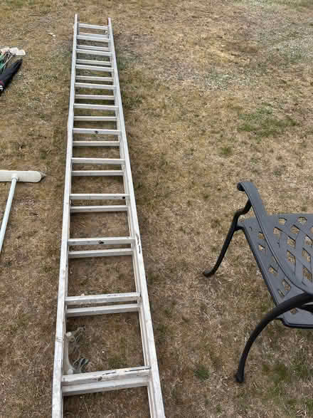 Photo of free Ladders - 343cm x two (Frimley Green GU16) #1