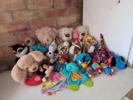 Photo of free Bag of soft toys (Woodley RG5) #1
