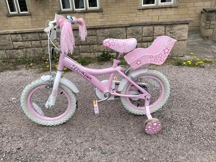 Photo of free Childs princess bike 14” (GL3, Brockworth) #1