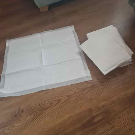 Photo of free 10 x puppy pads (Bellfields GU1) #1