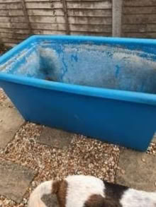 Photo of free Tank (Portchester PO16) #1