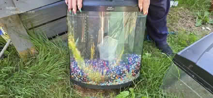 Photo of free Fish tank #2 (Petersfield) #1